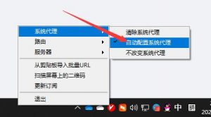 开启自动配置系统代理